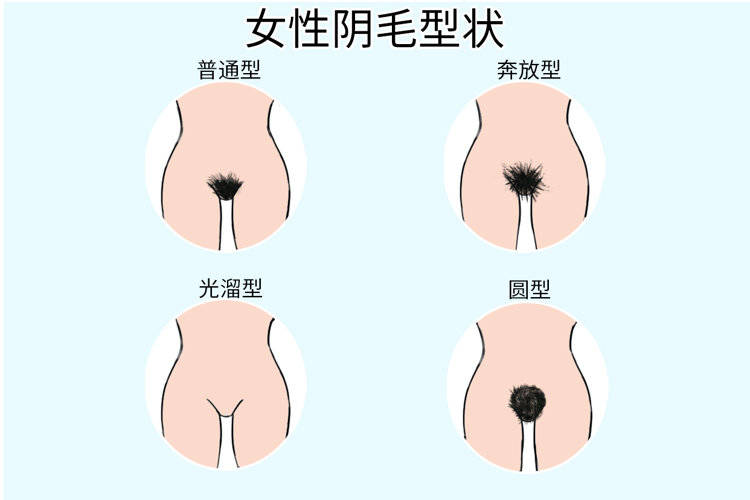 为什么有的人没有阴毛(阴毛多的女性性欲比较强吗)