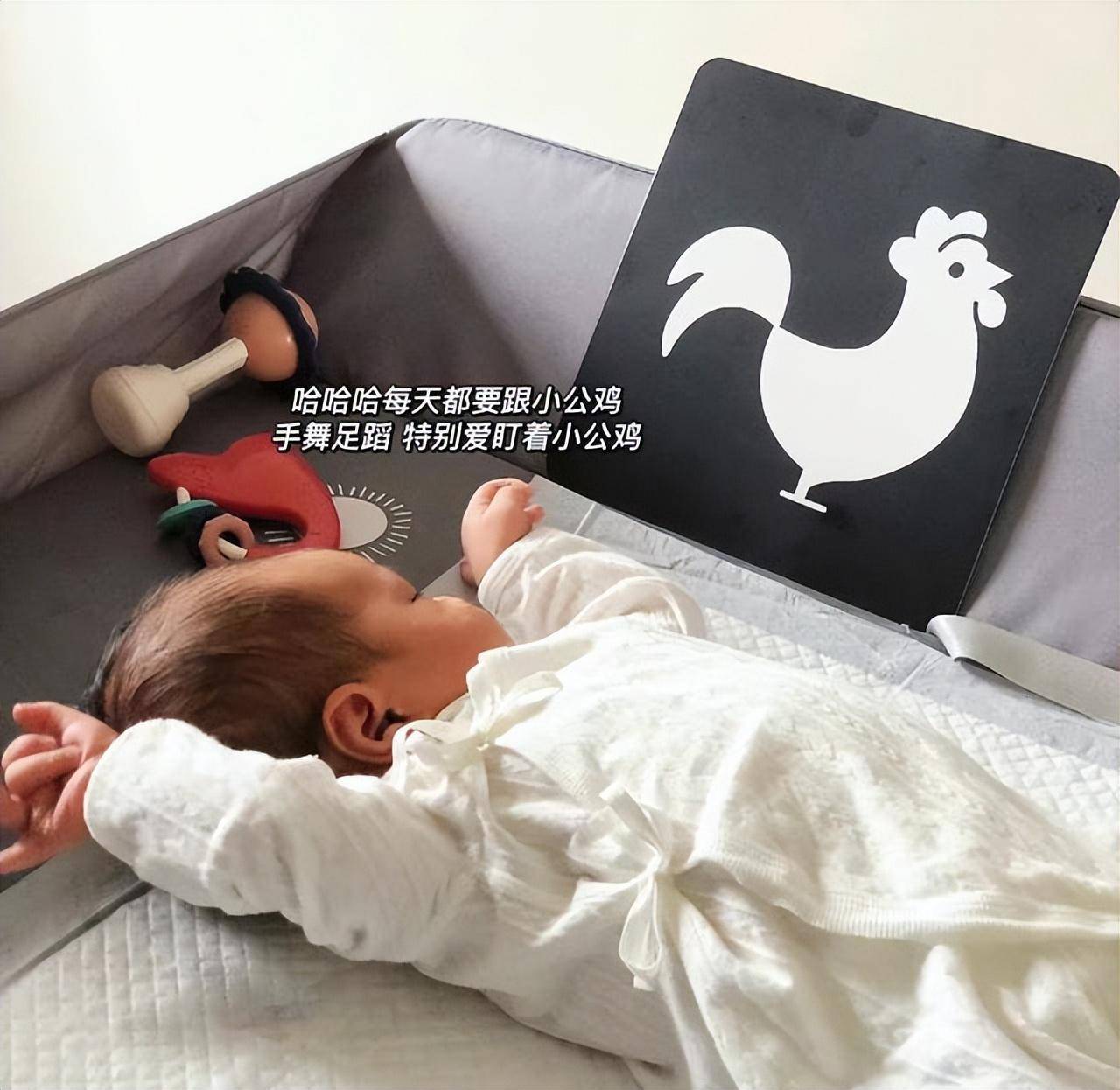 3个月的宝宝发育标准是什么(三个月宝宝如何早教)