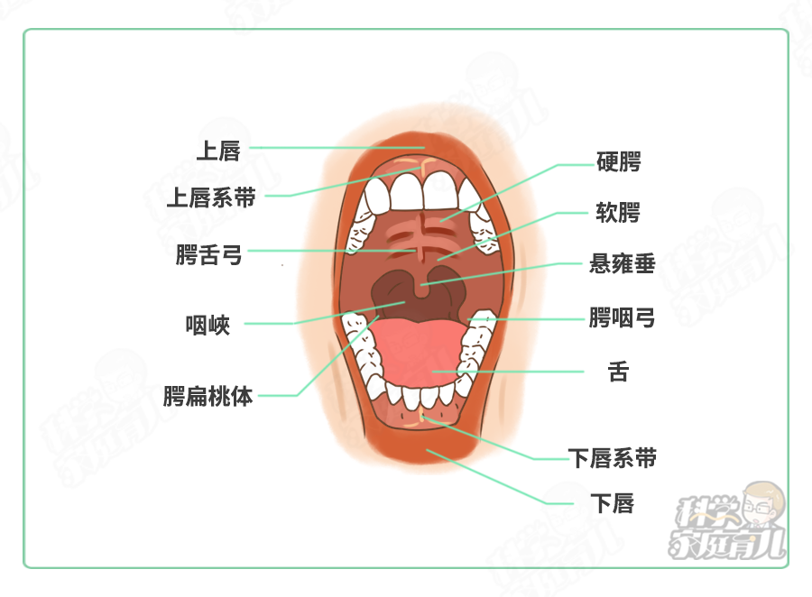 小孩疱疹性咽峡炎如何治疗好？