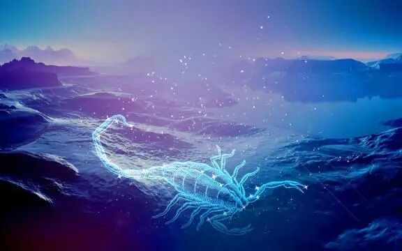 天蝎男最痴迷哪个星座