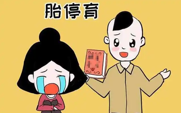 胎停的征兆和原因(如何防止胎停育)