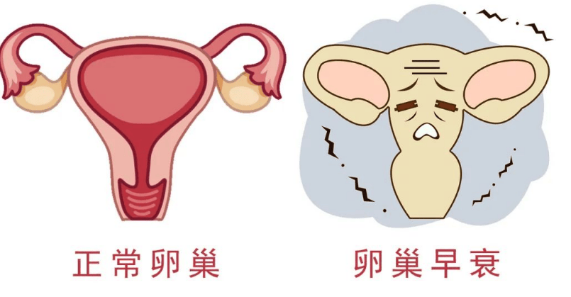 卵巢功能下降了怎么办？