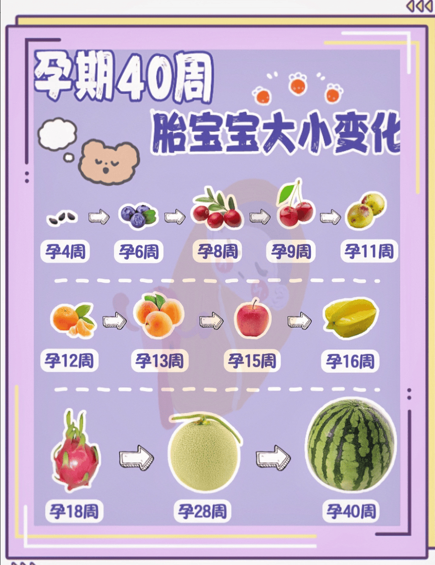 怀胎十月受精卵变新生儿,胎宝怎么成长？一组生命起源图揭开人类成长的奥秘