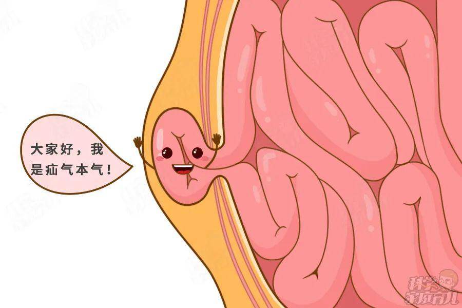 如何判断小孩有疝气？