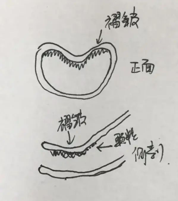 如何潮吹(附手法动图视频)