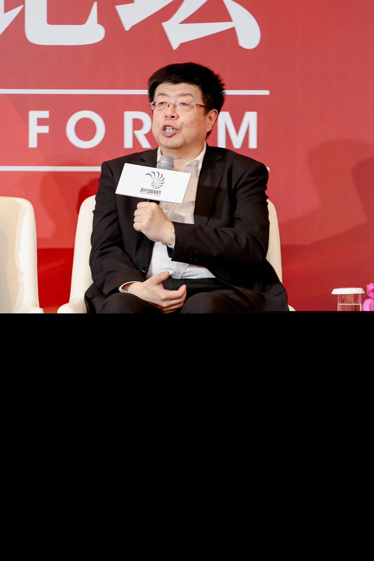 北京大学中文系教授张颐武