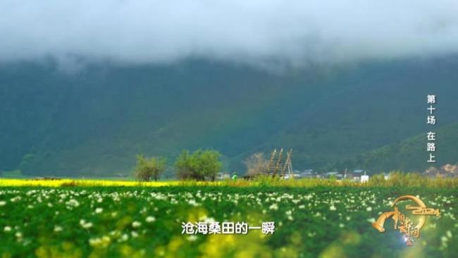 《2024中国诗词大会》圆满收官 我们一直“在路上”