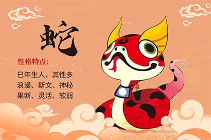 属蛇的人性格和优缺点