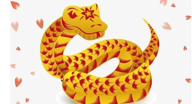 属蛇和什么属相最配