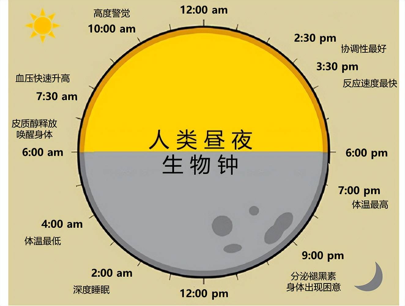 早上生孩子好还是晚上生孩子好(为什么生宝宝大部分都是晚上)