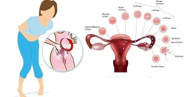 女人在排卵期的时候有什么反应(附4个表现)