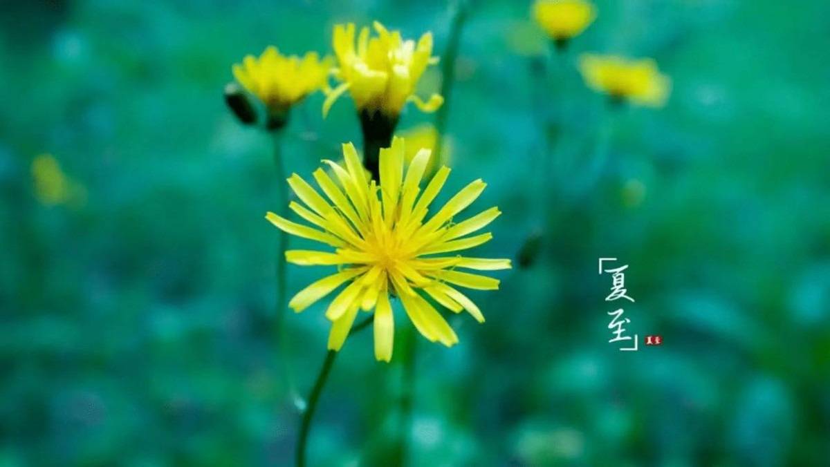 夏季怀孕孕妇八个禁忌须注意,对胎儿发育有影响
