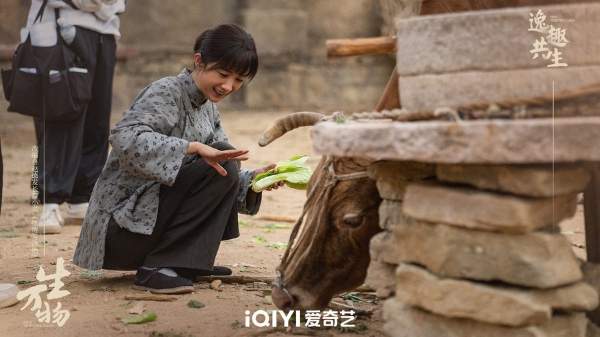 杨幂《生万物》8月5日杀青，演员阵容、剧情介绍