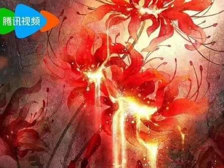 缬罗电视剧剧情介绍，讲了什么故事