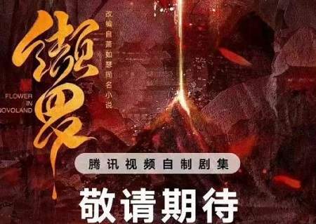 缬罗电视剧剧情介绍，讲了什么故事