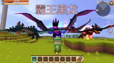 怎么在迷你世界驯服黑龙 驯服黑龙的方法介绍