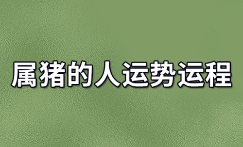 属猪人2024年全年运势及运程，属猪人2024年每月运势及运程！