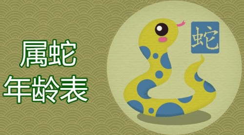 属蛇的今年多大