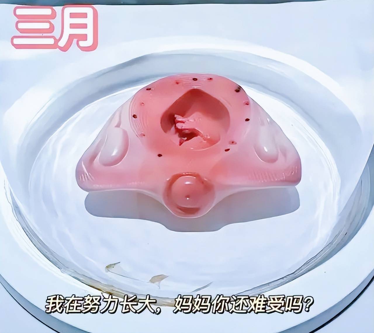 孕妇十月怀胎变化过程,看完心都化啦!