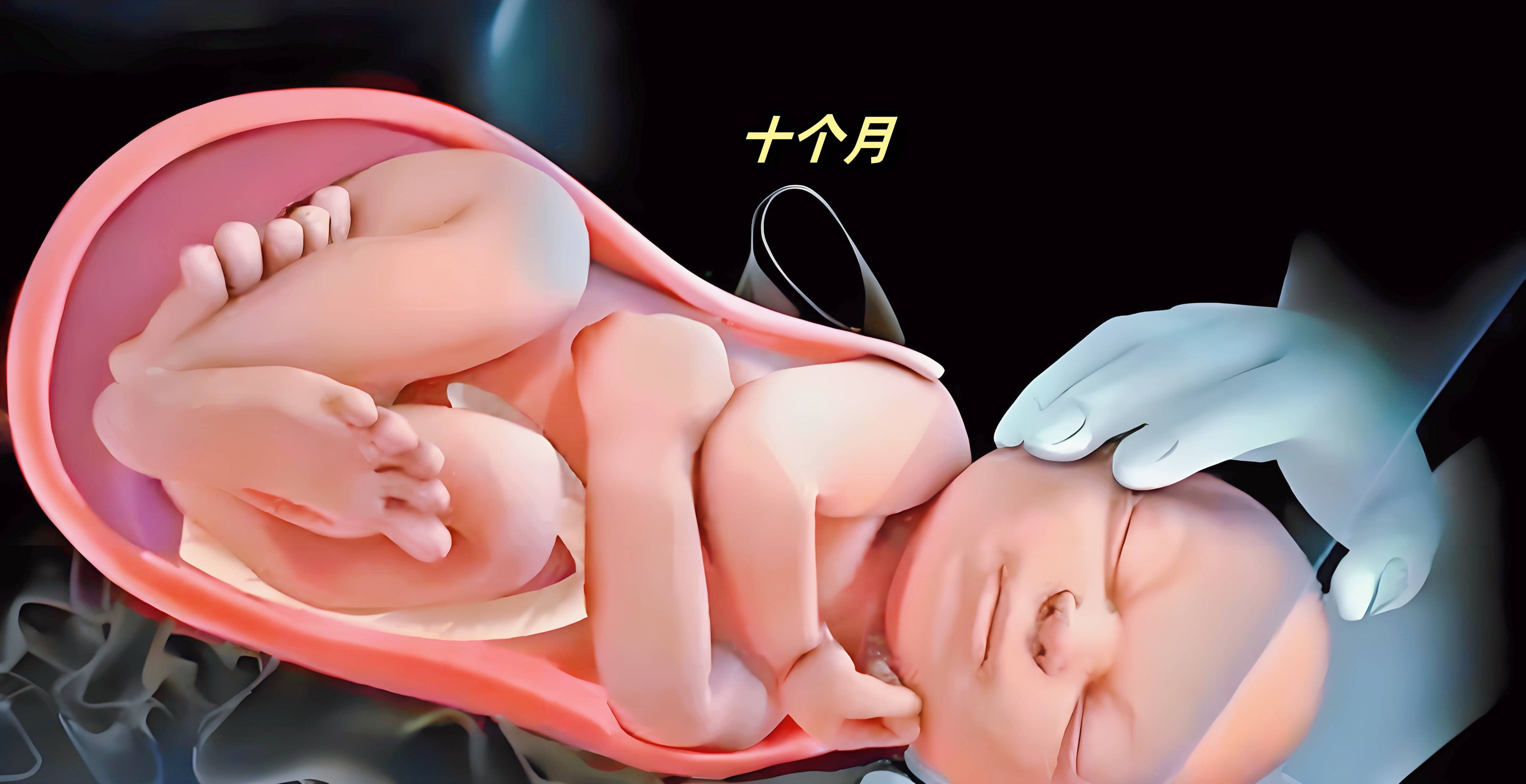 孕妇十月怀胎变化过程,看完心都化啦!