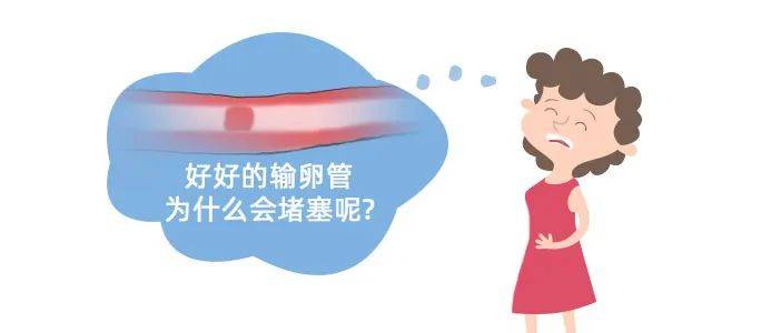 为什么会输卵管堵塞(如何判断输卵管有没有堵塞)