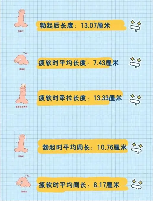 【手把手教你】阴茎长度测量从哪开始？