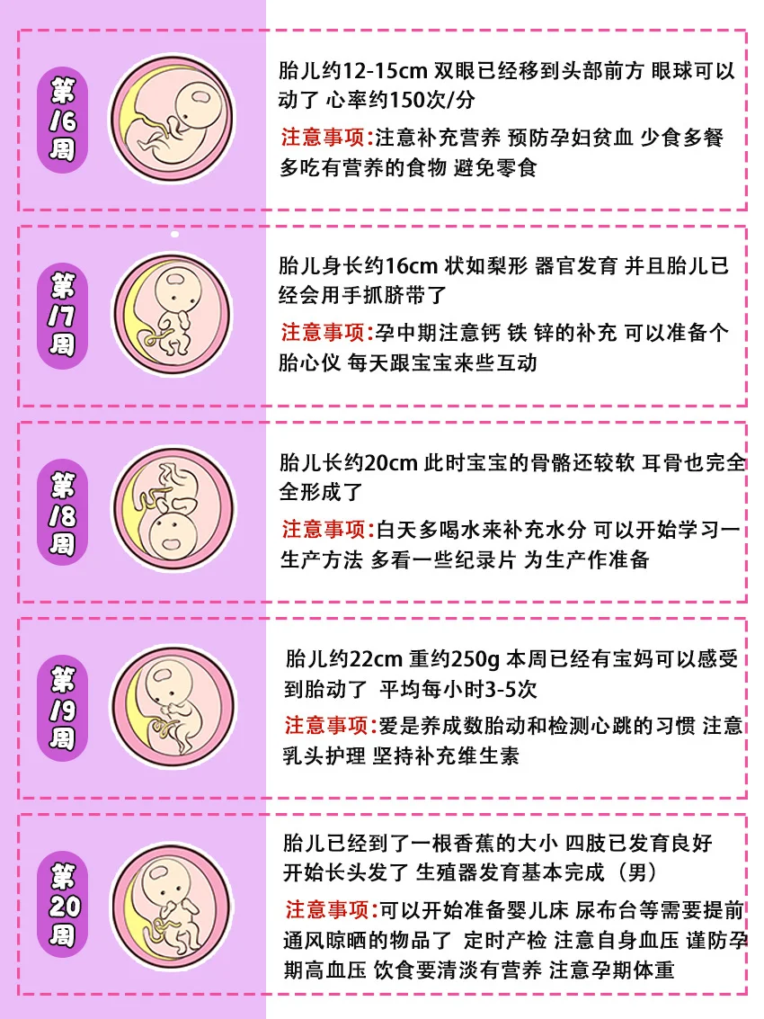 孕期产检时间表&教你看懂B超单｜准妈妈必读