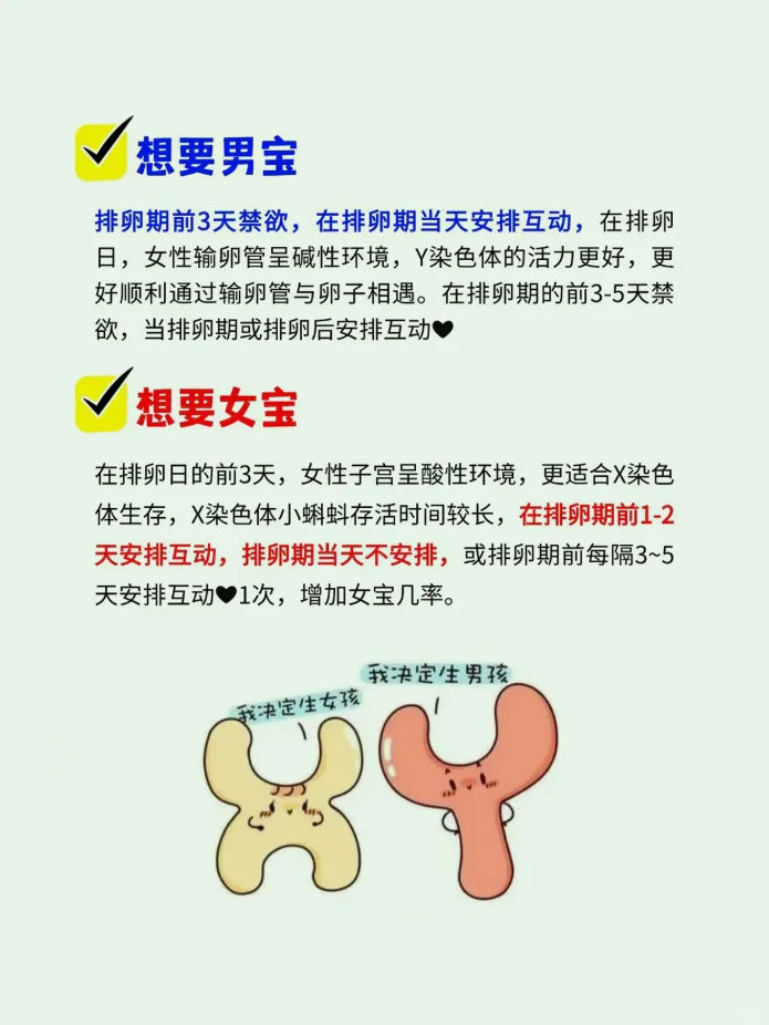 科学备孕皮夹克~想要男宝看过来