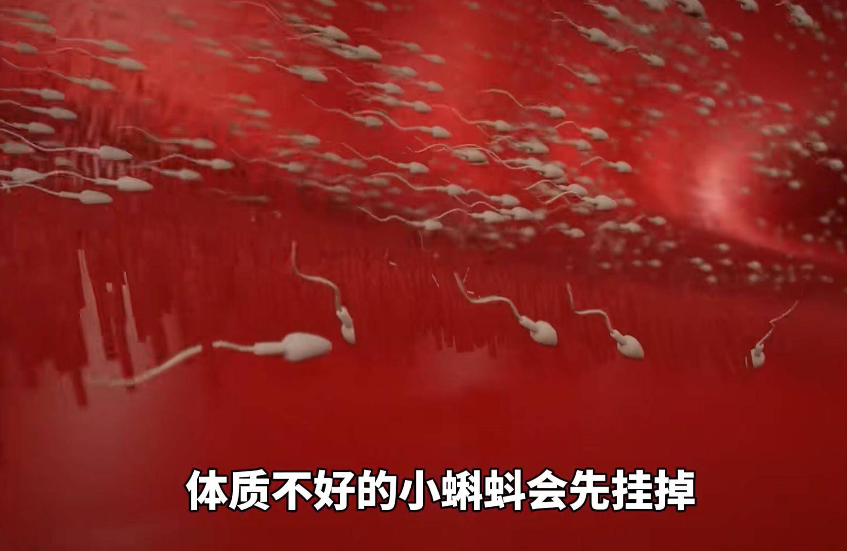 精子进入女性体内后没受精去哪儿了？