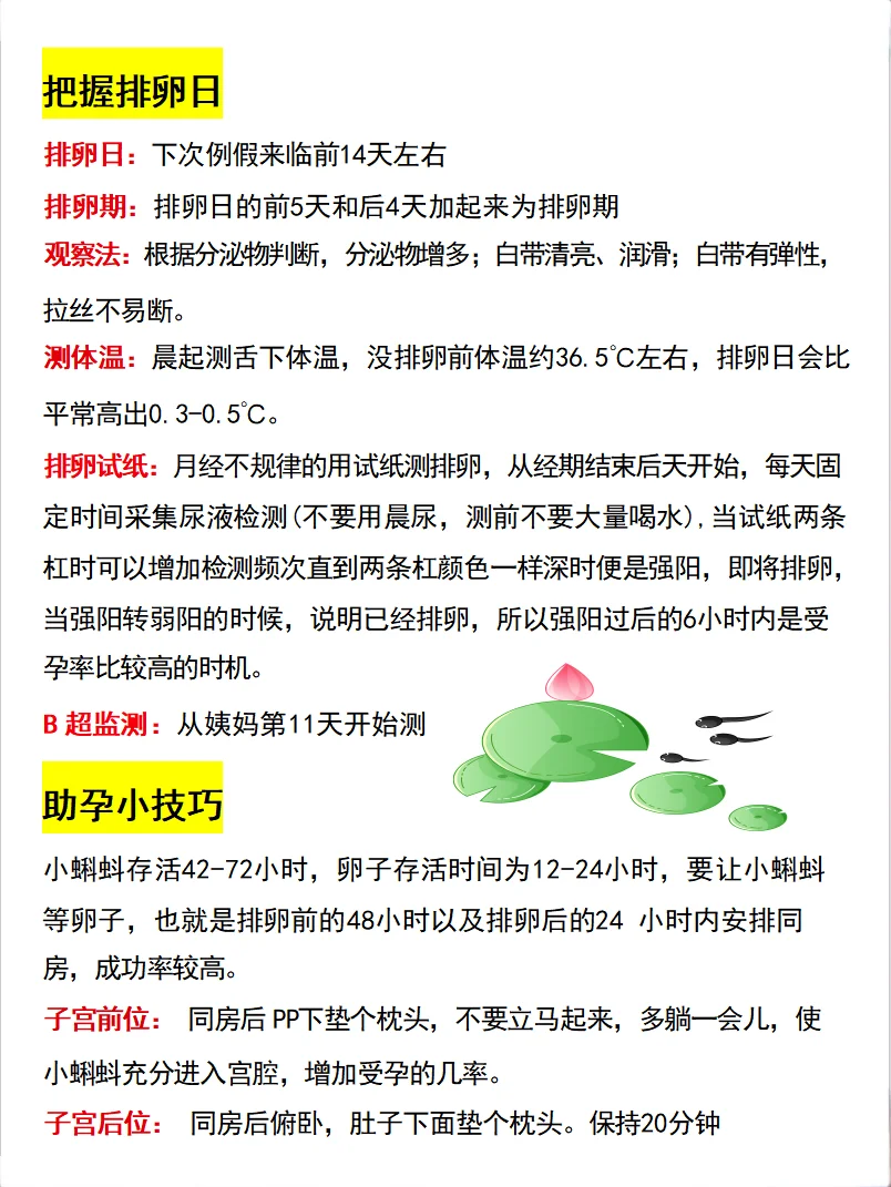 夫妻超全备孕攻略！一篇详细讲明白