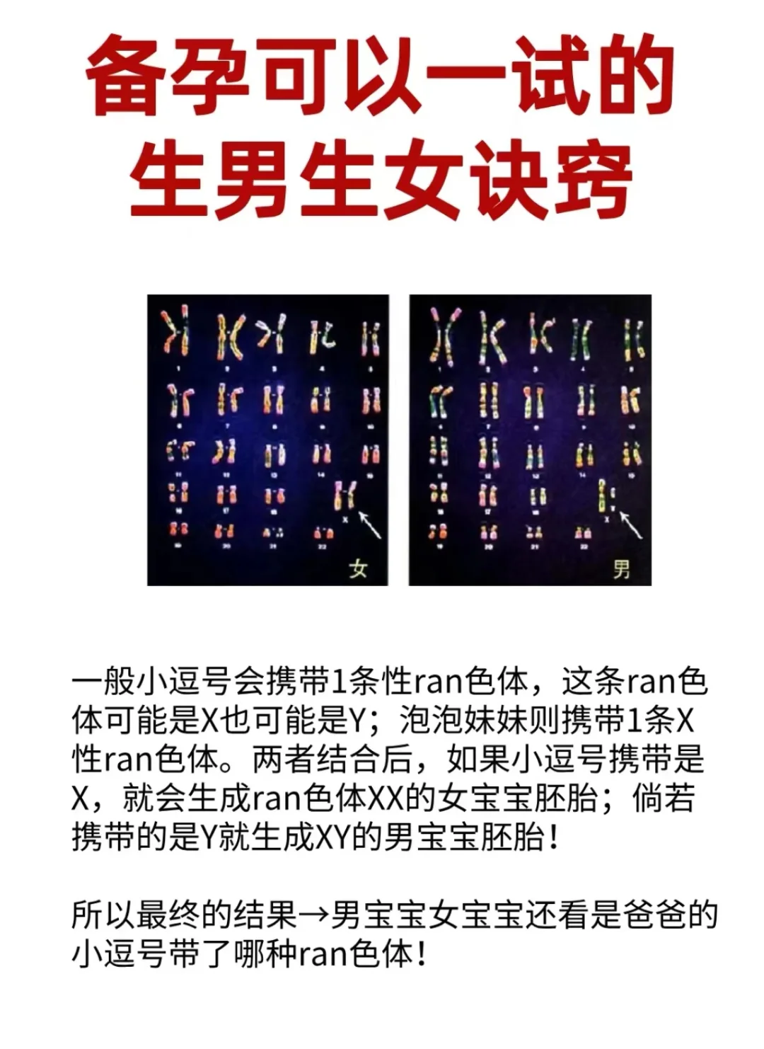 摊牌了！备孕可以一试的生男生女诀窍,你还在等什么