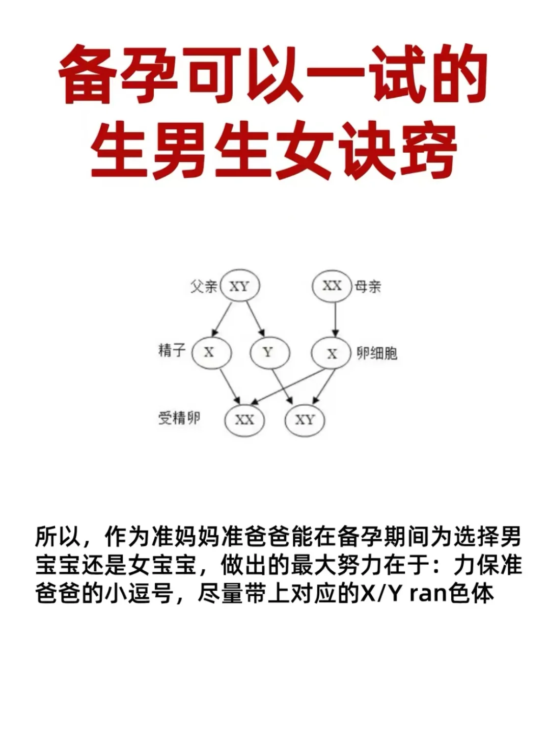 摊牌了！备孕可以一试的生男生女诀窍,你还在等什么
