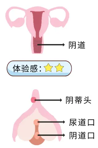 女生为什么爱夹腿？真有那么爽吗？