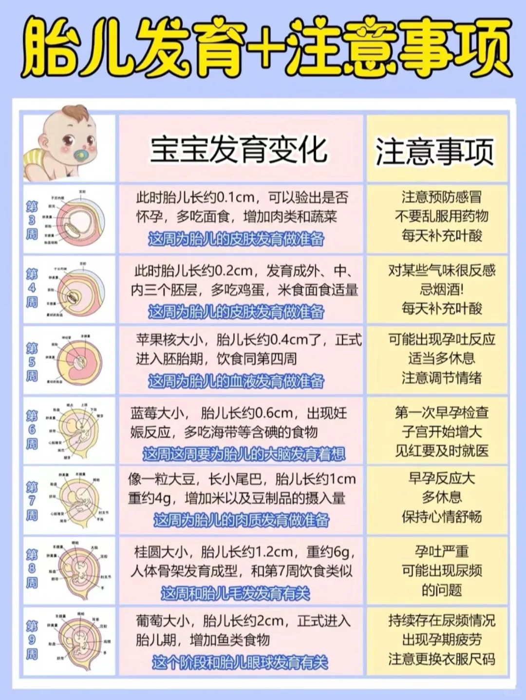 怀孕1-40周胎儿变化/产检时间/孕期营养讲解！收藏