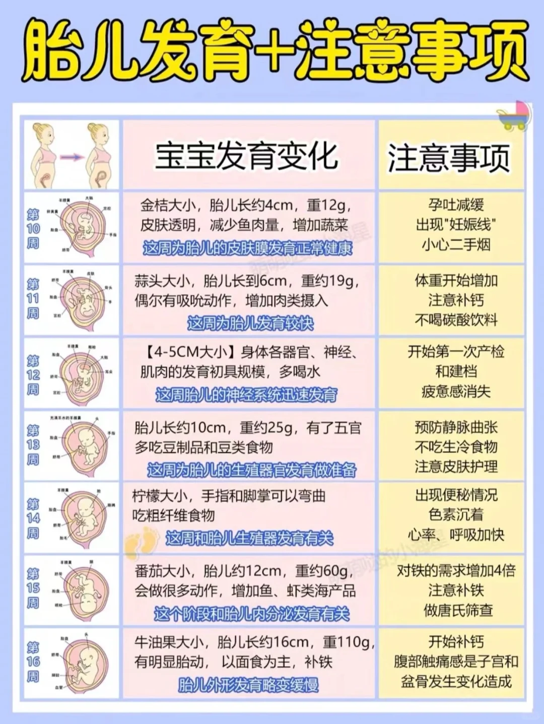 怀孕1-40周胎儿变化/产检时间/孕期营养讲解！收藏