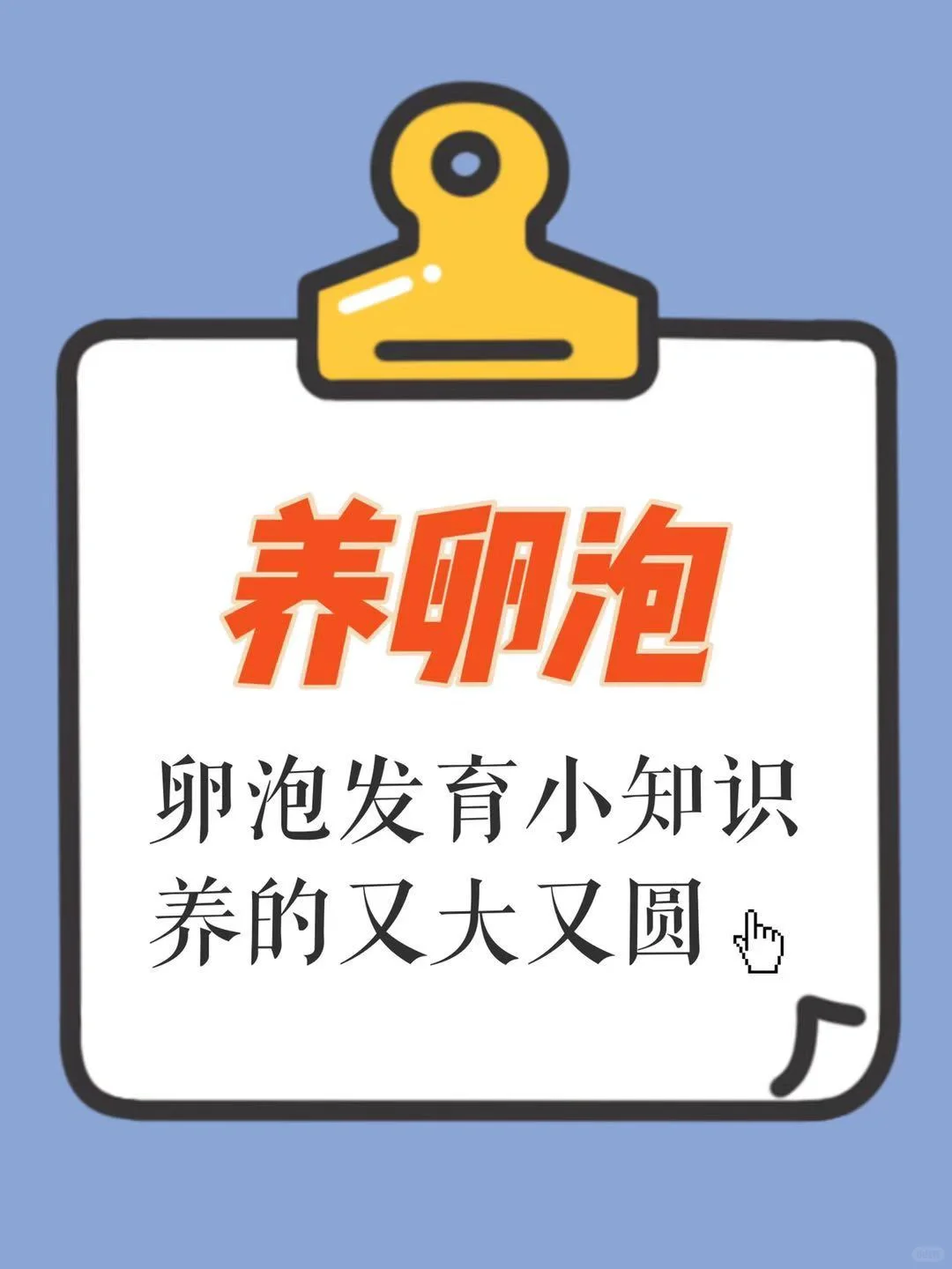 备孕卵泡怎么养？把卵泡养得又大又圆迎好孕