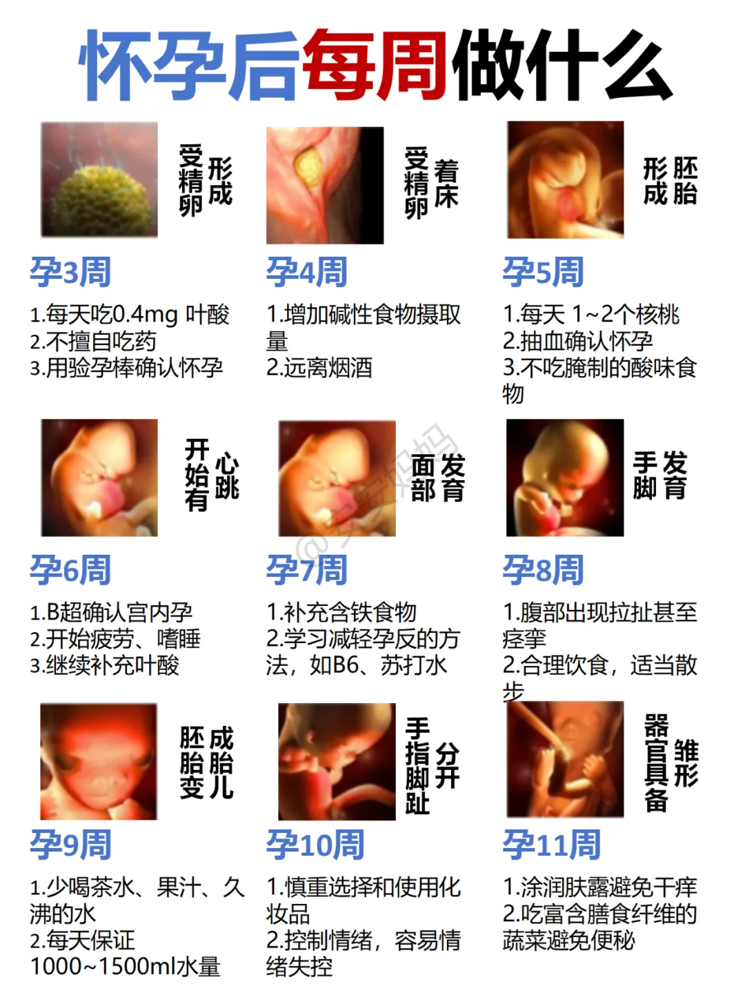 整理了孕早、中、晚期每周变化及要做什么！附最完整实用待产包