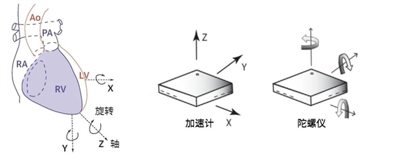 手机放胸口2分钟就能发现致命心脏病 准确率89%