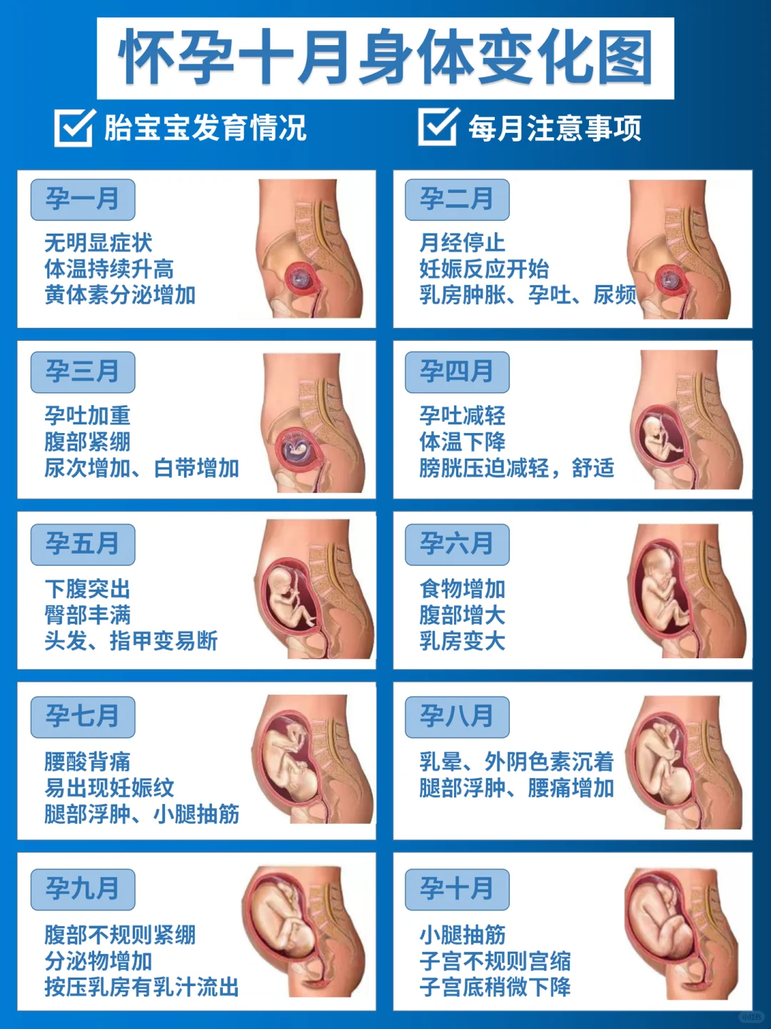 孕期必看：产检用药一篇全给你讲清楚！