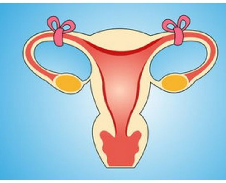 女性子宫下垂究竟有哪些危害？如何预防和整治子宫下垂呢