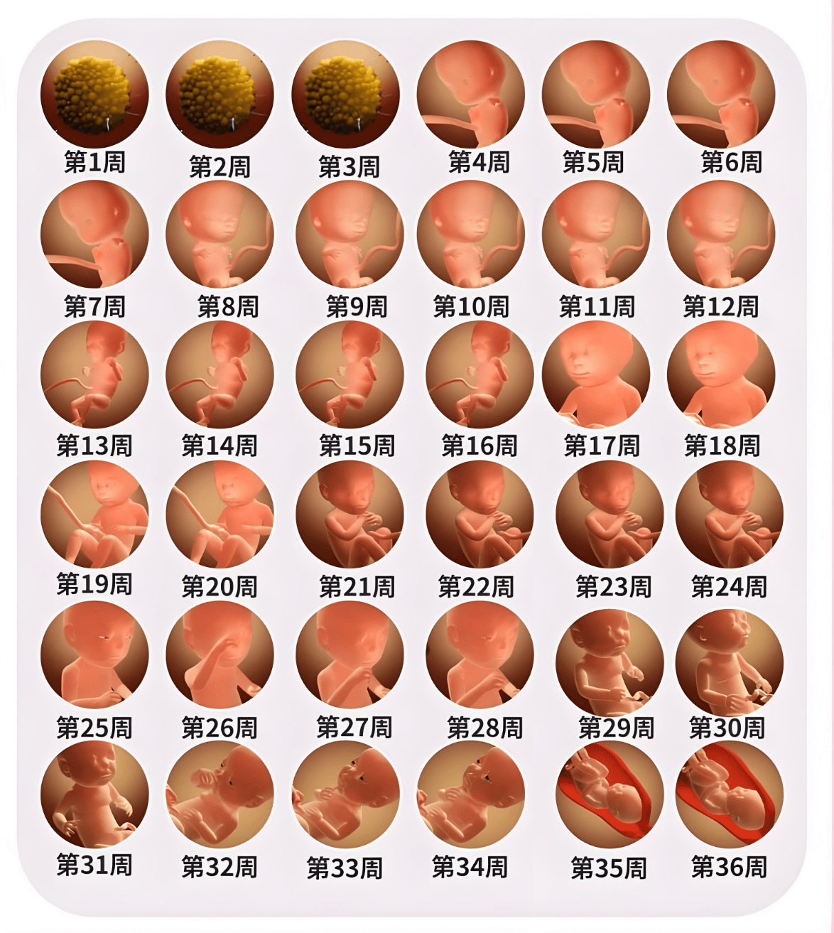 怀孕身体会有哪些变化？孕妈：三个变化很难逃过呀