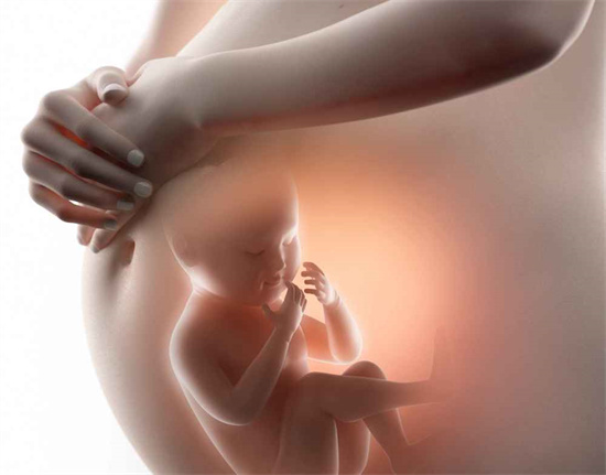 爆火的2025年生男生女清宫图来袭！整理推算生男生女的几个公式