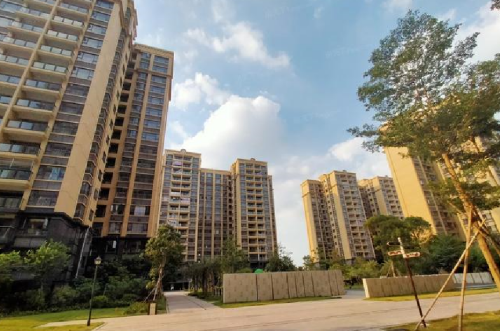 69年鸡住几楼最旺
