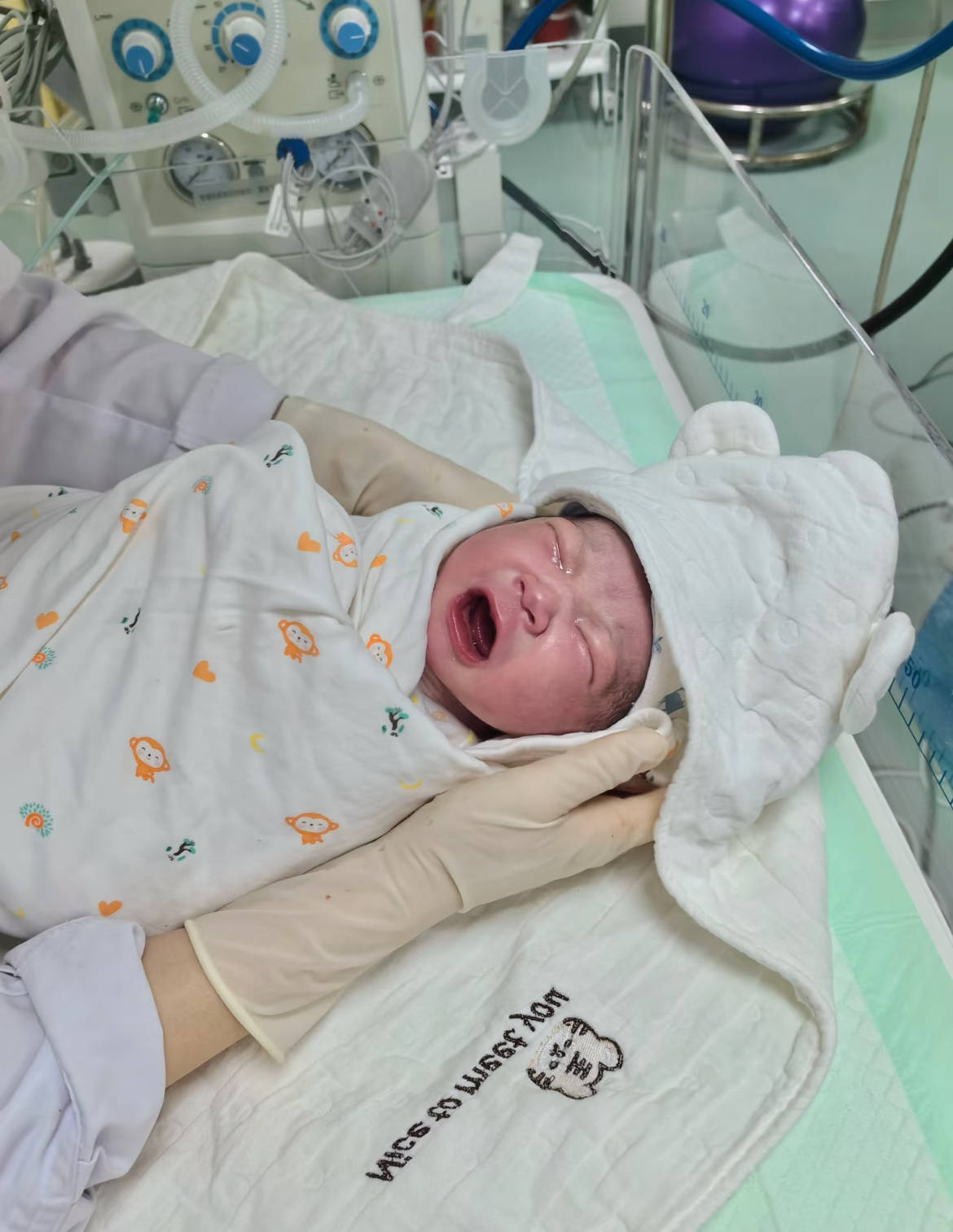 孕期每个月胎儿最怕什么？妈妈早准备早预防
