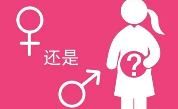 带来一份2026马年清宫图！整理计算宝宝性别的方法