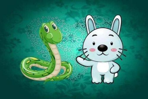 属兔和属蛇的合不合