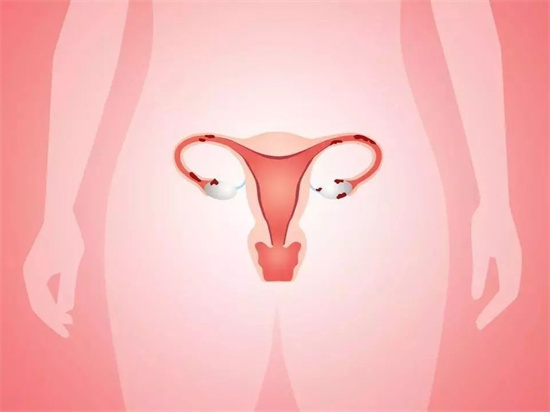 女人如何保养卵巢？详细介绍9个保养卵巢的好方法