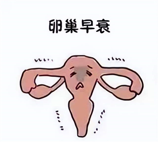 7招延缓卵巢衰老赶紧做起来！女性该如何保养卵巢