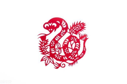 属蛇的几月出生最苦命