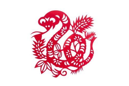 属蛇的人一生命运如何